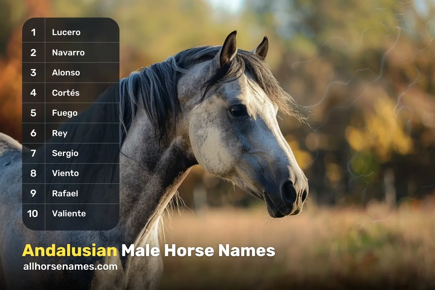 Andalusian Male Horse Names