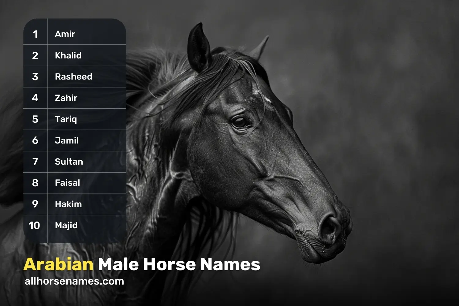 Arabian Male Horse Names