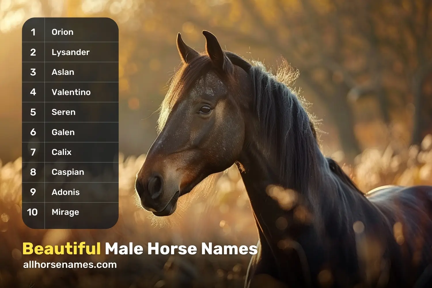 Beautiful Male Horse Names