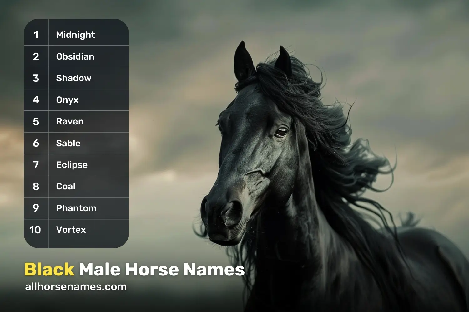 Black Male Horse Names