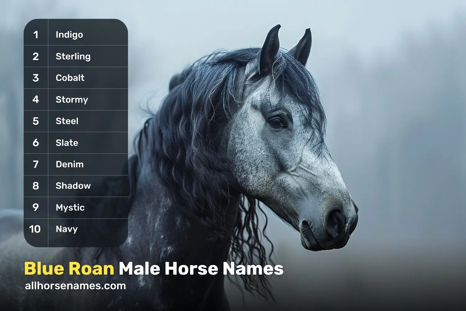 Blue Roan Male Horse Names