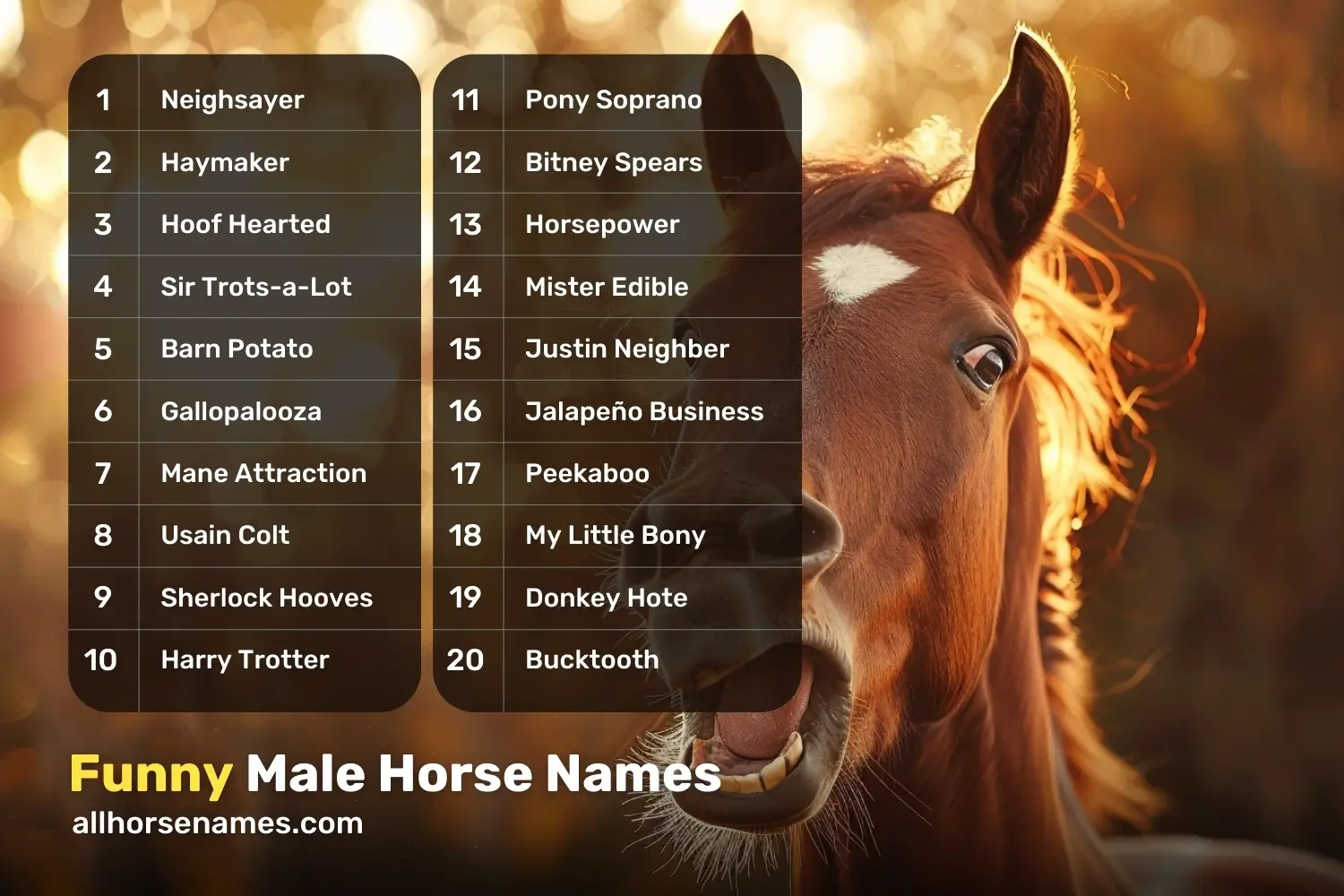 Funny Male Horse Names