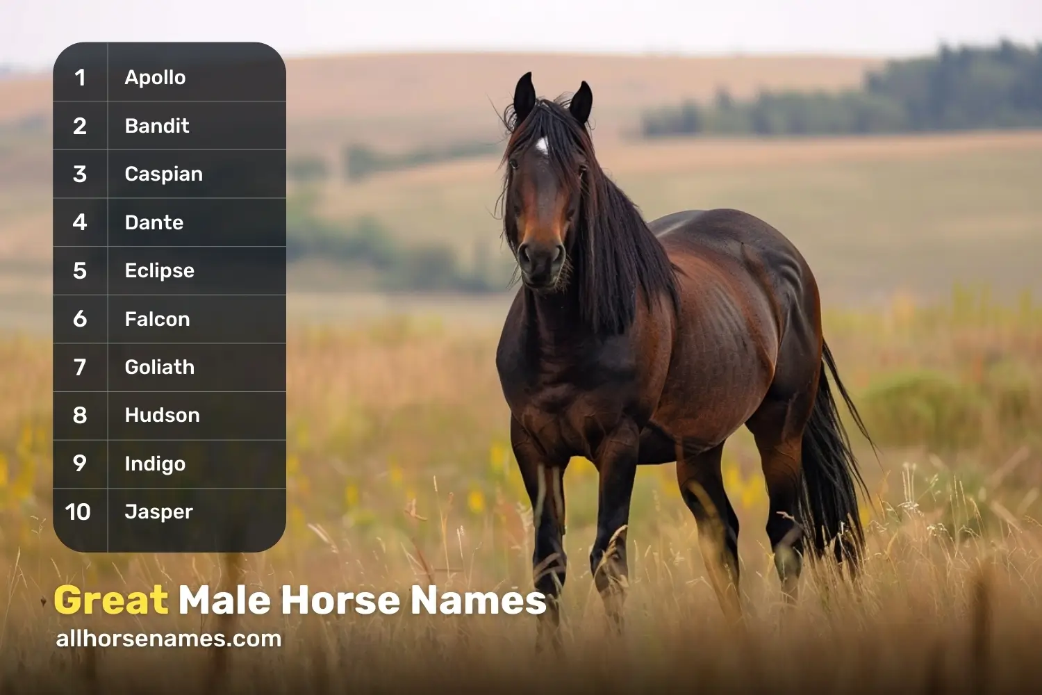 Great Male Horse Names