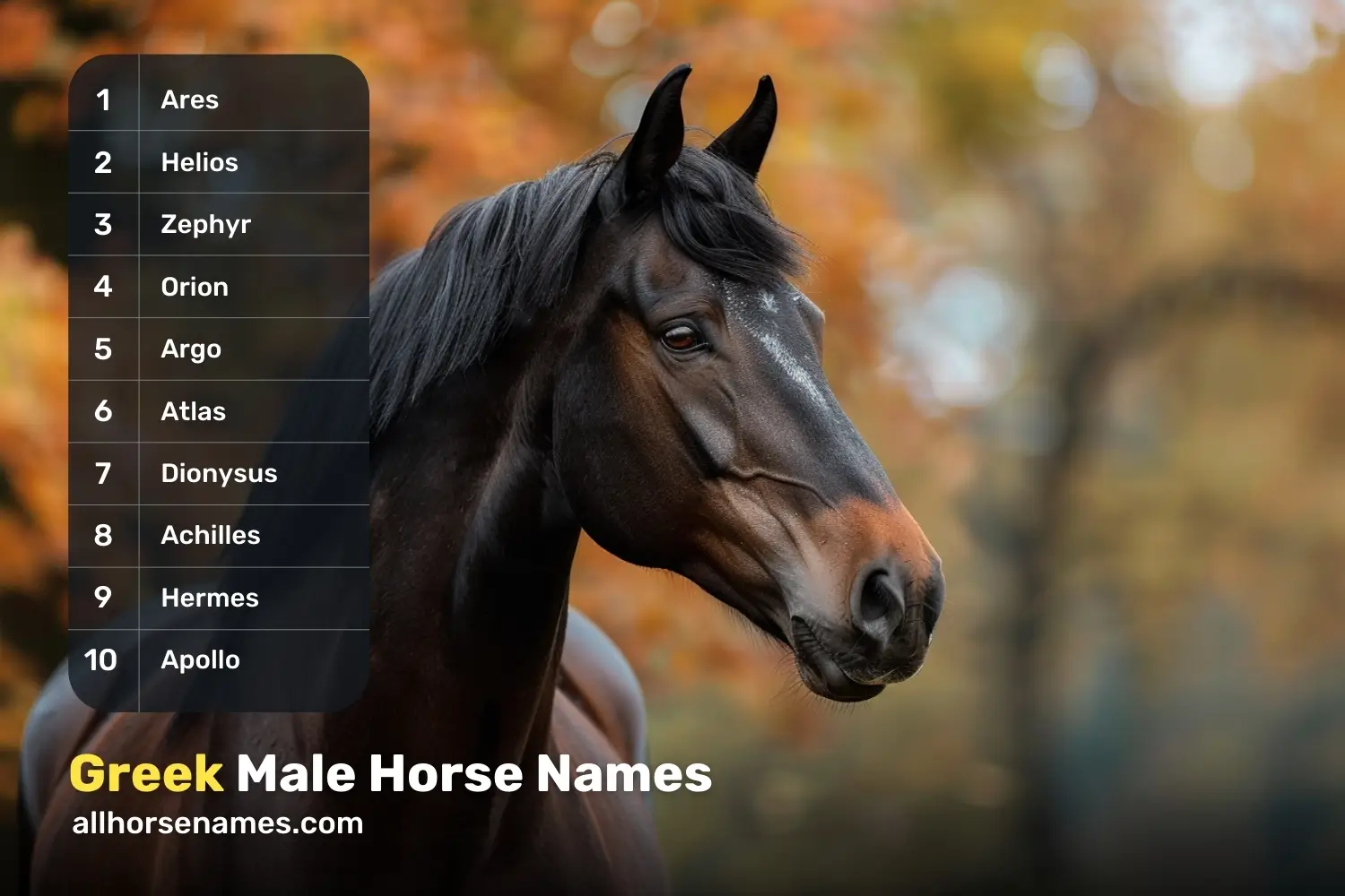 Greek Male Horse Names