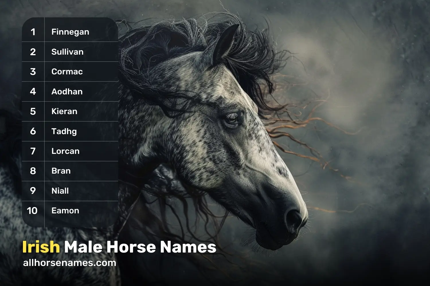 Irish Male Horse Names