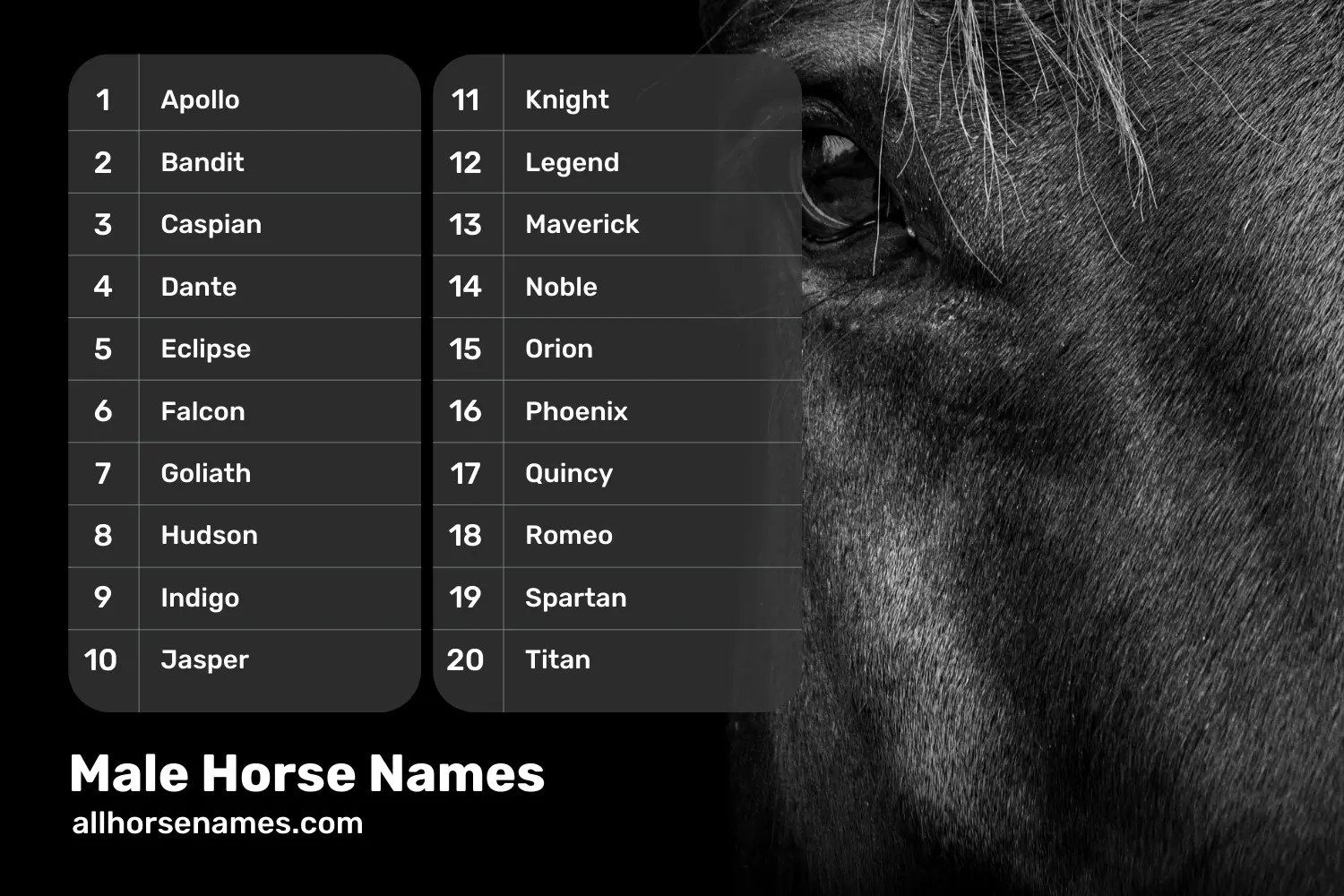 Male Horse Names