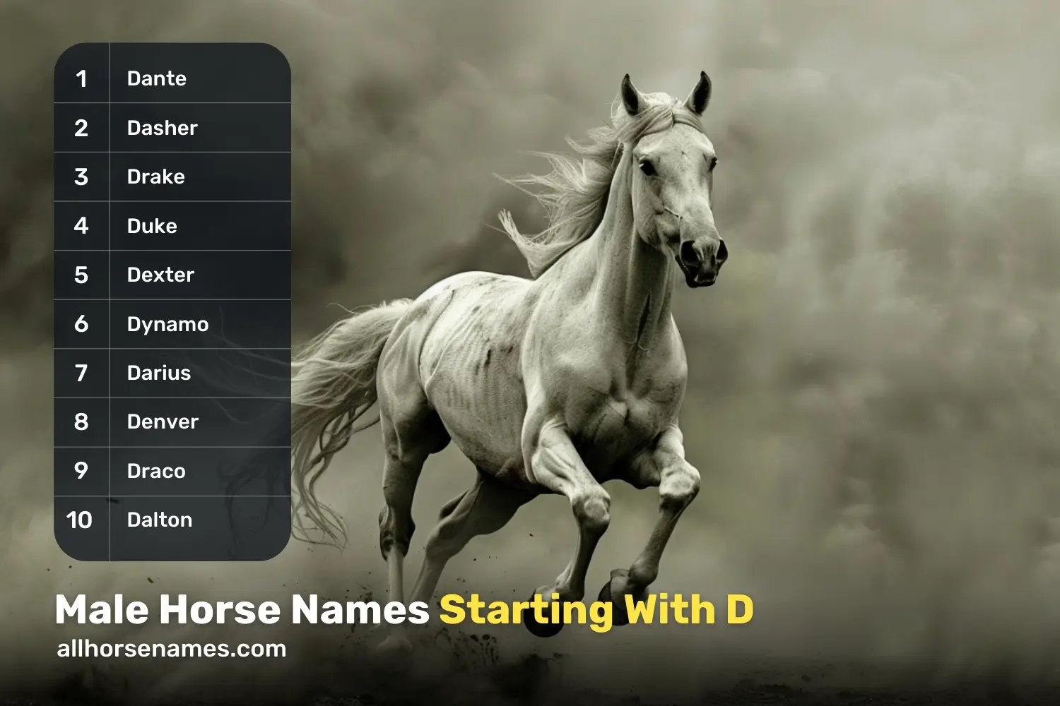 Male Horse Names Starting With D