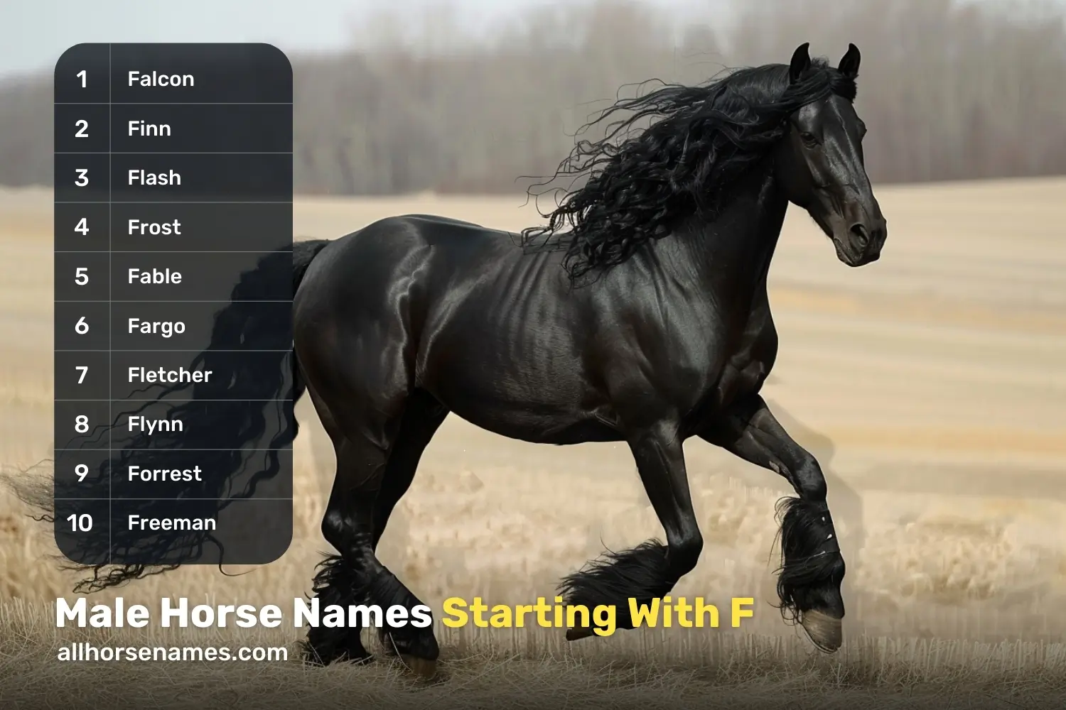 Male Horse Names Starting With F