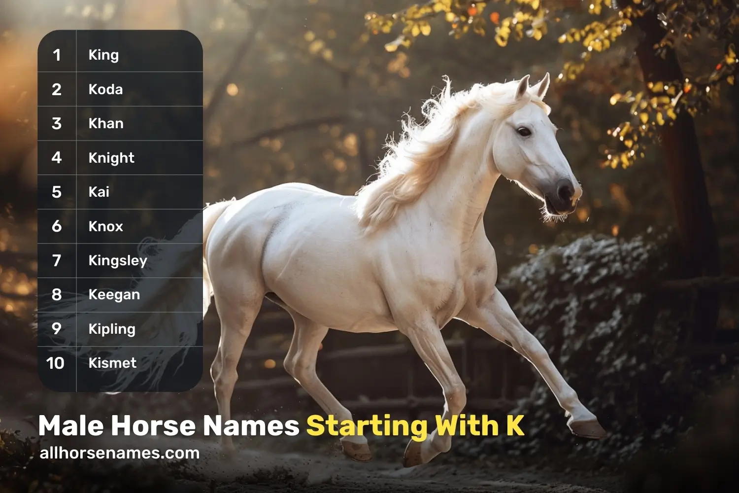 Male Horse Names Starting With K