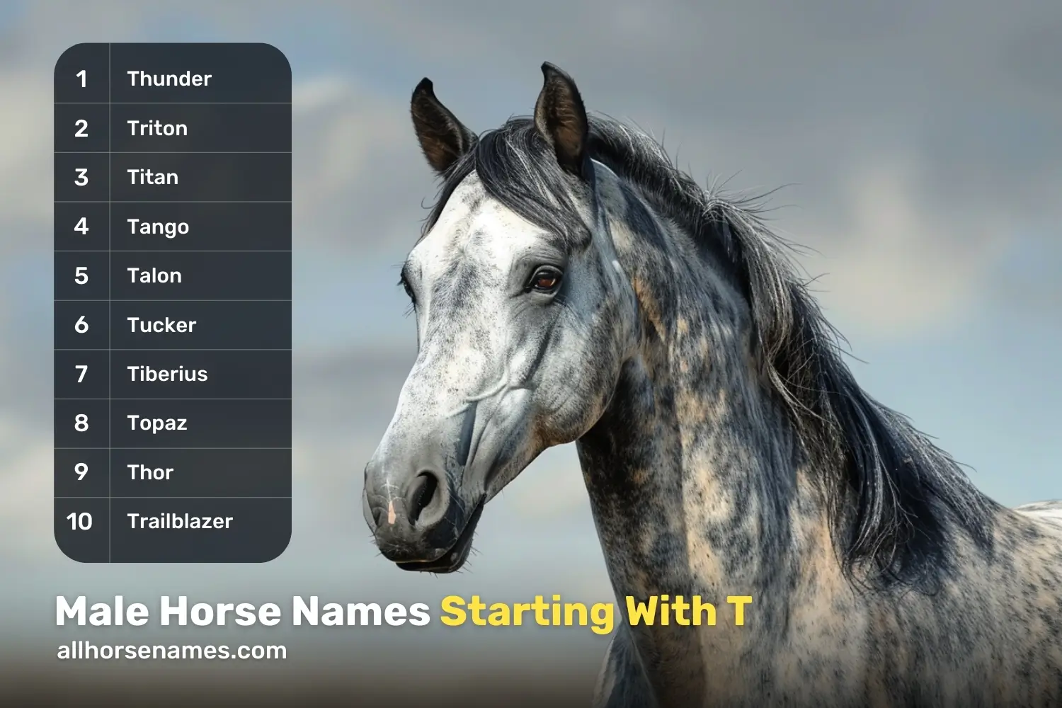 Male Horse Names Starting With T