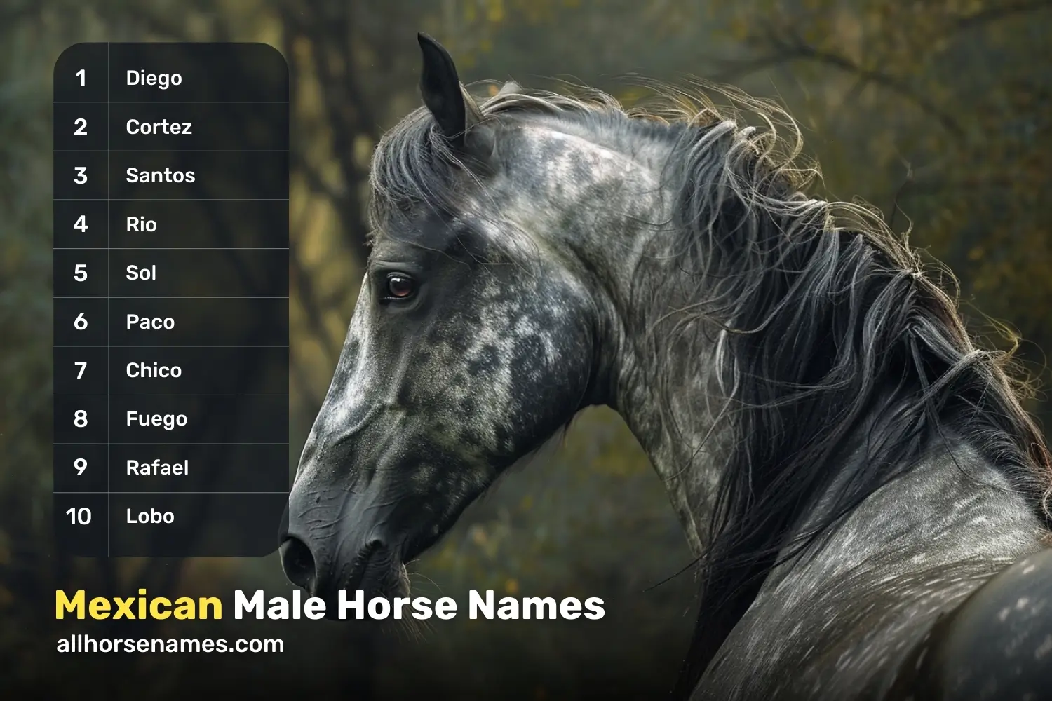 Mexican Male Horse Names