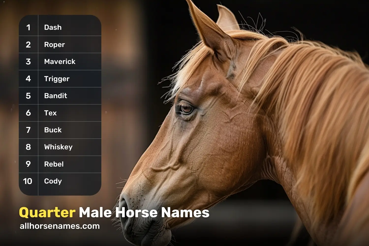 Quarter Male Horse Names