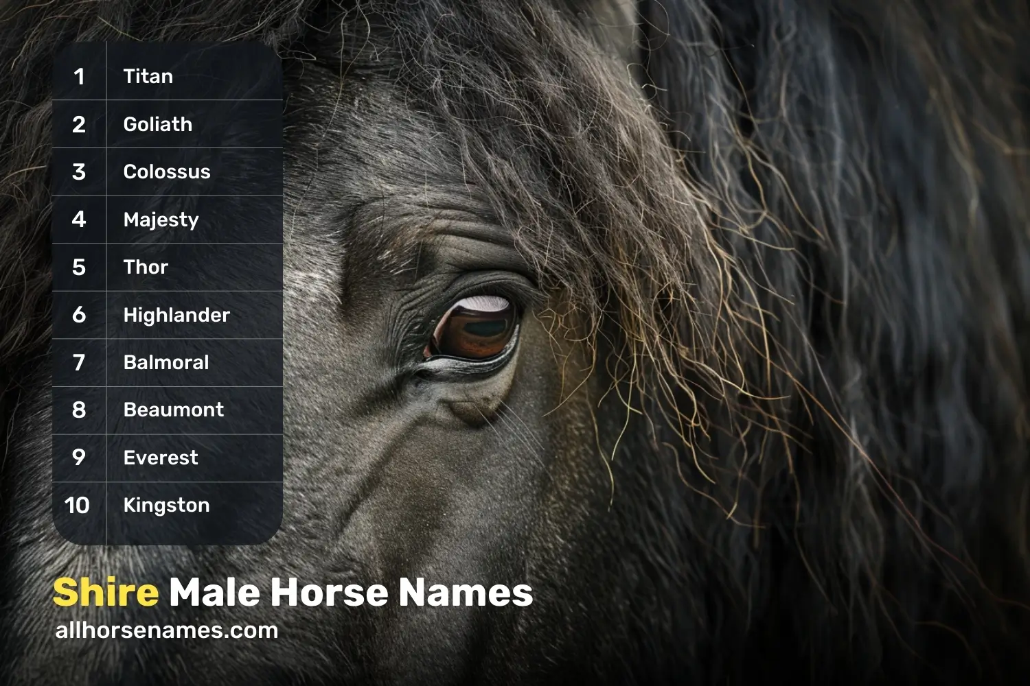 Shire Male Horse Names