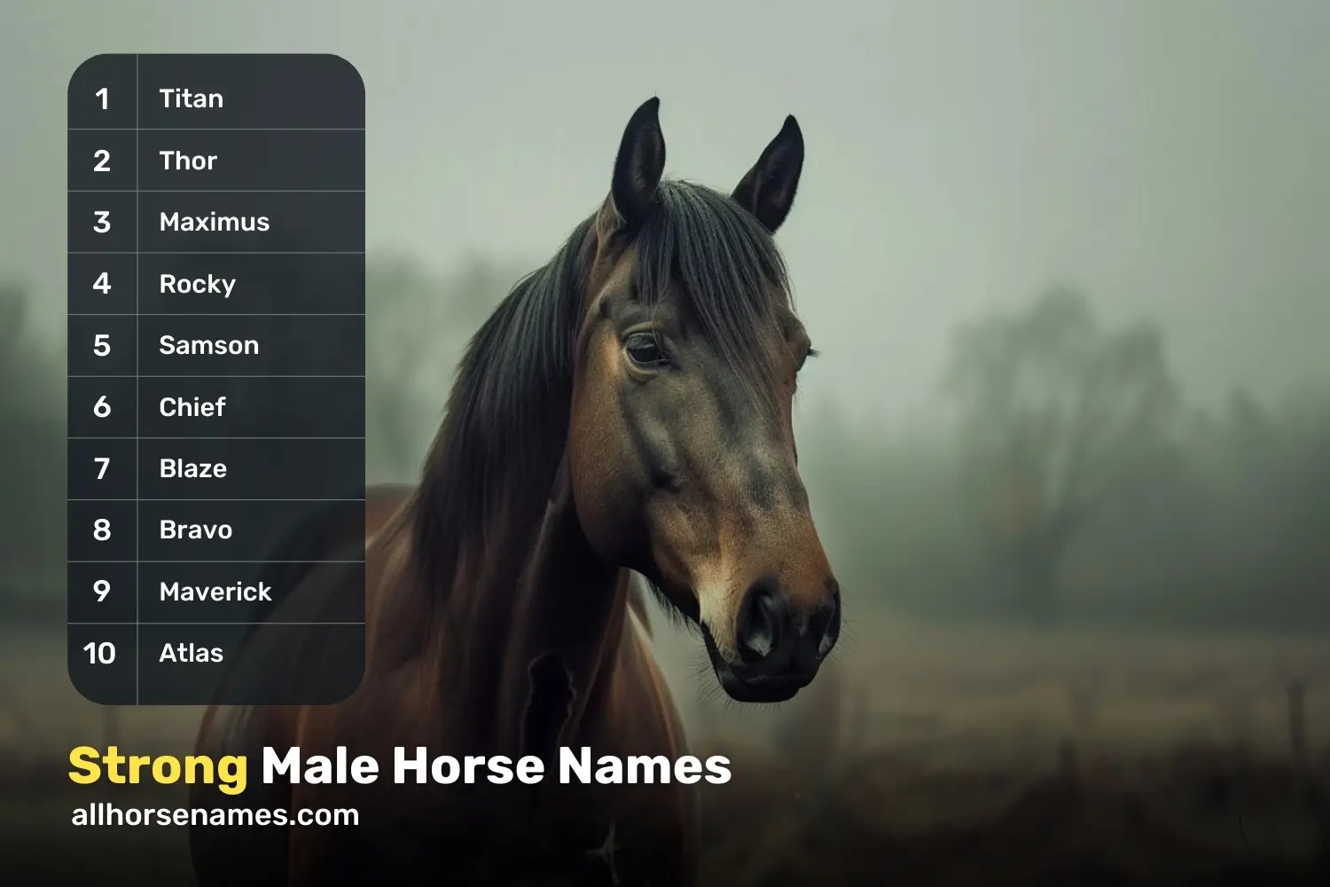 Strong Male Horse Names