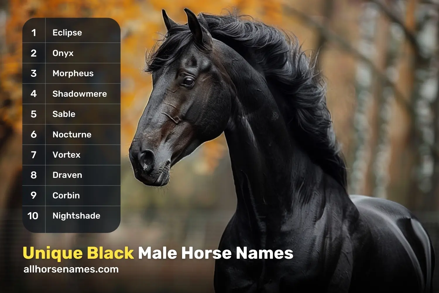 Unique Black Male Horse Names