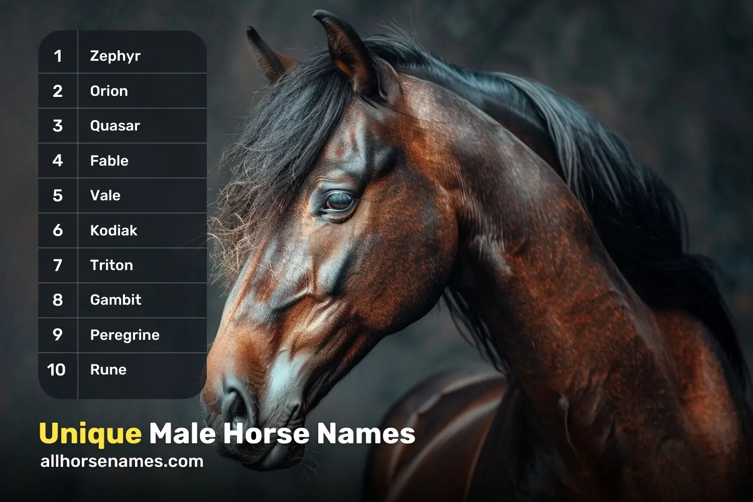 Unique Male Horse Names