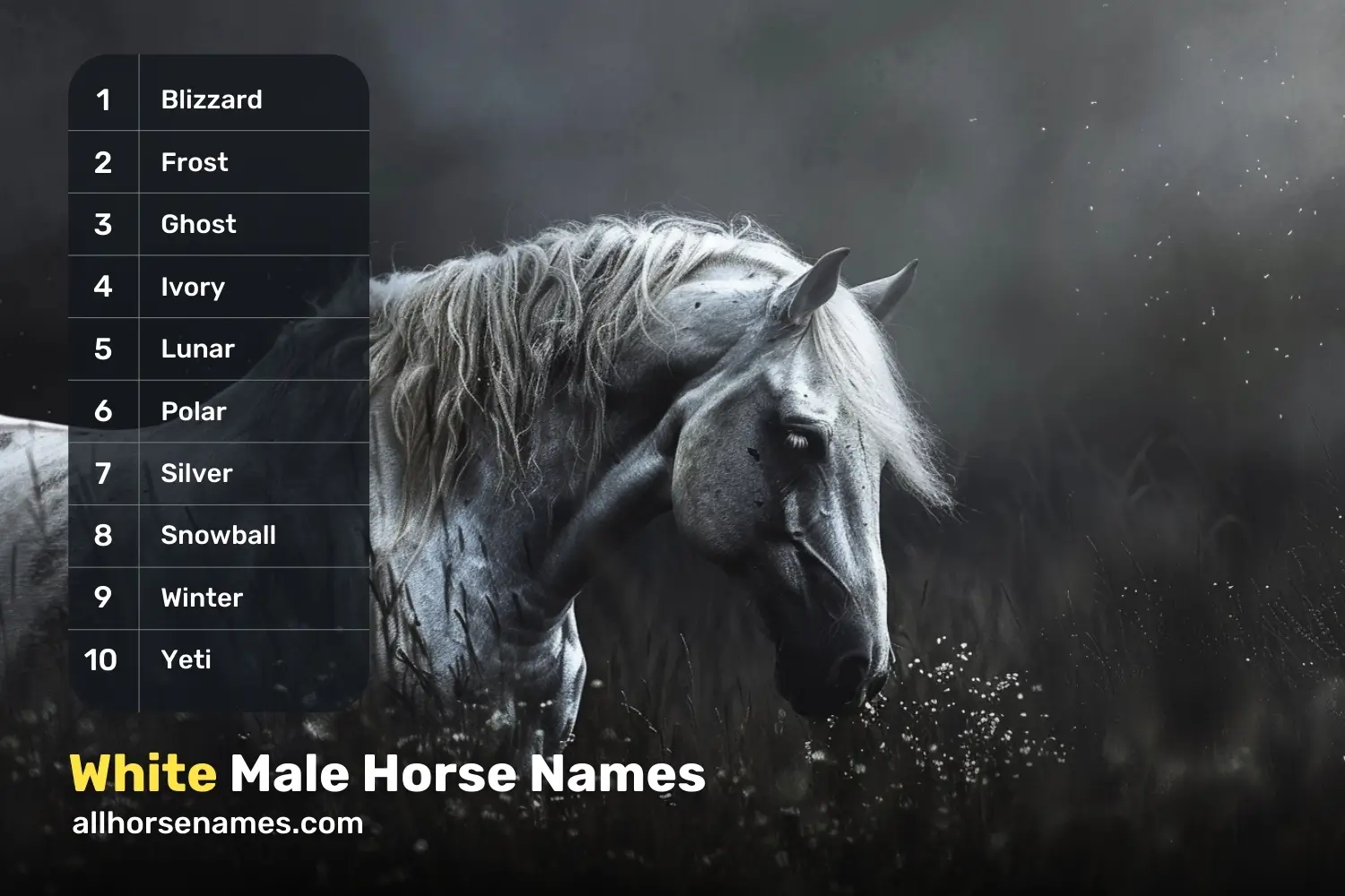 White Male Horse Names